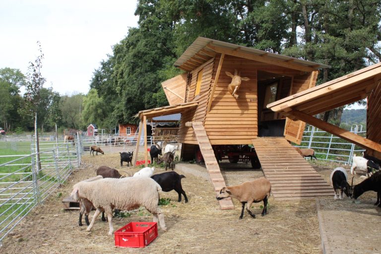 Das Bild zeigt ein Ziegengehege mit einem architektonisch originellen Holzstall, der auf einem landwirtschaftlichen Fahrgestell steht, mehrere Kletterelemente für Tiere befinden sich am Wagen. Schafe und Ziegen stehen ruhig um den Wagen herum. Im Hintergrund sieht man grüne Wiesen und weitere mobile Stallungen.