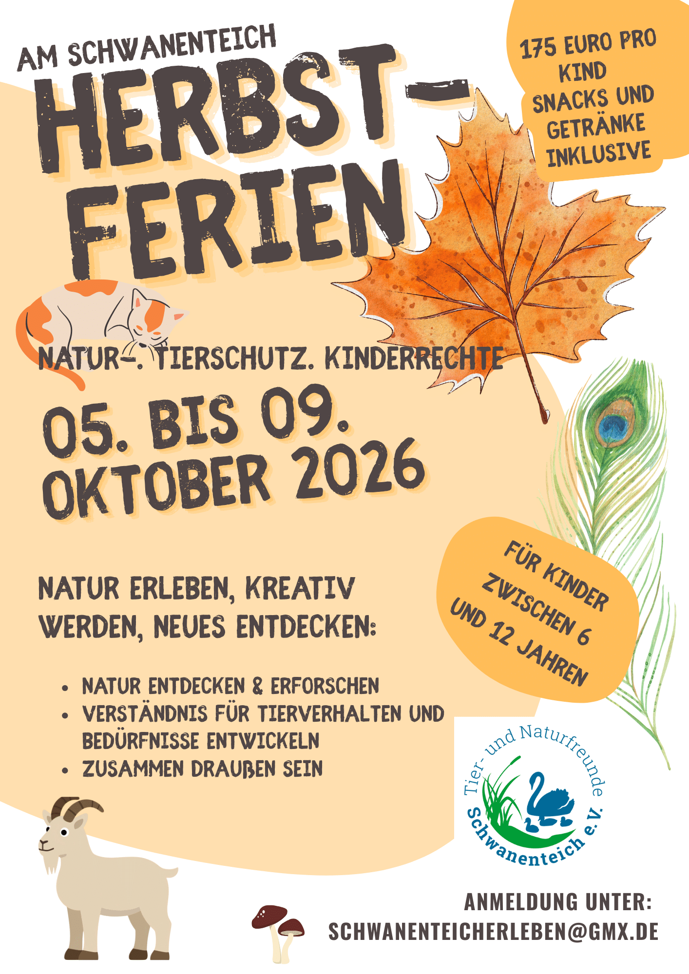 Herbstferien am Schwanenteich – Abenteuer für Kinder!