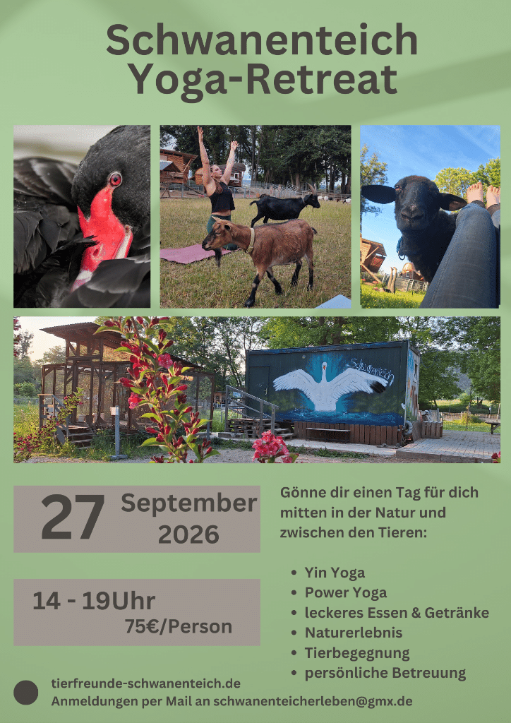 Saisonabschluss Ziegen‑Yoga am Schwanenteich