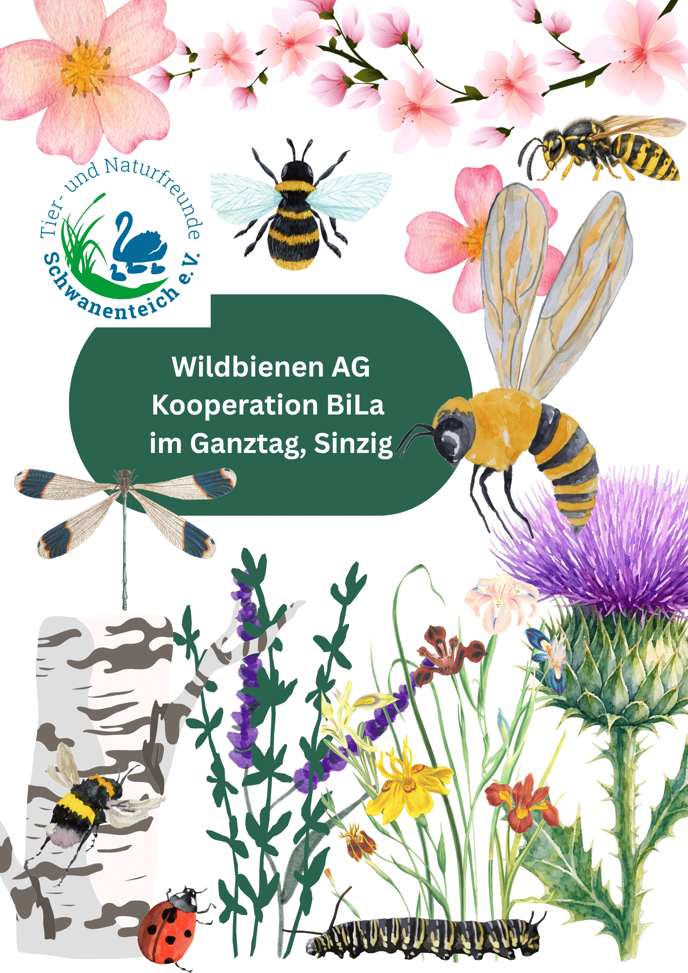 Wildbienen‑AG am Schwanenteich